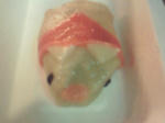 ”魅惑のピンク”プーギー餃子