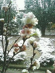 s-200912180858000.jpg