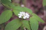 s-IMG_0040.jpg