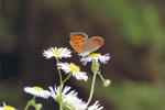 s-IMG_0050.jpg