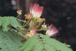 s-IMG_0043.jpg