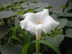 s-P7020128.jpg
