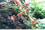 s-CCF20110217_00002.jpg