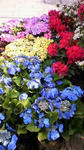 s-2011050408180001.jpg