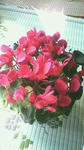 s-2011050816010000.jpg