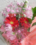 s-P2070093.jpg