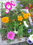 SH3J19840001.jpg