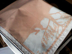 テントの日焼け