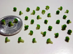 ブロッコリーが整列