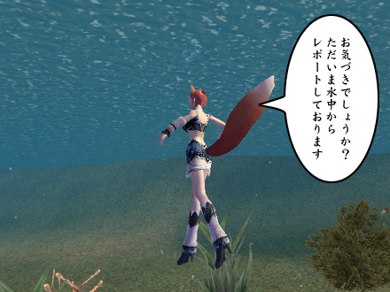 パーフェクト ワールド -完美世界-