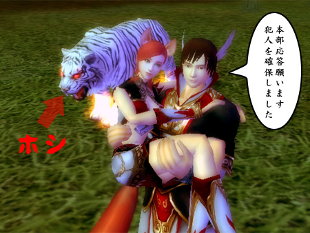 パーフェクト ワールド -完美世界-