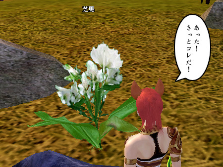 パーフェクト ワールド -完美世界-