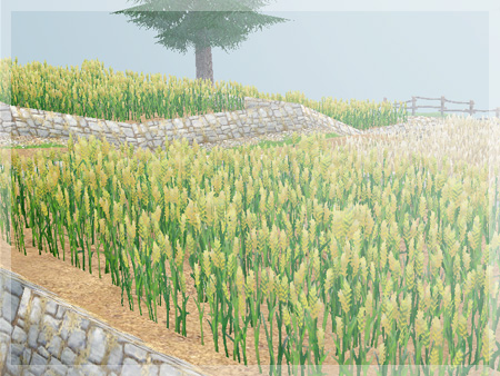 mabinogi マビノギ