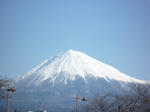 3.11mt.fuji.jpg