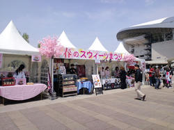 130414vsSHONAN3.jpg