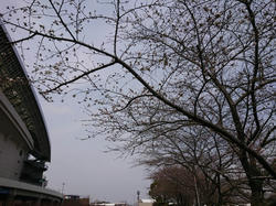 260322ホーム町田戦2