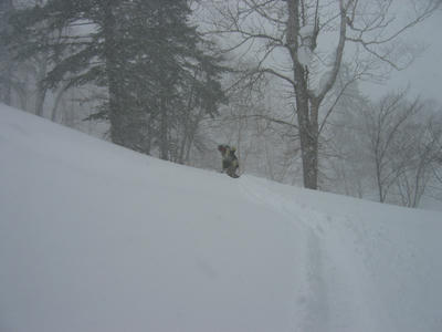 Powder　Paradise