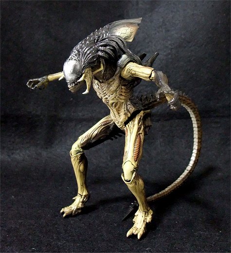 22.11.18 HIYA TOYS EXQUISITE MINI / ALIENS VS. PREDETOR REQUIEM :  PREDALIEN｜Ban's Collection