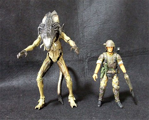 ハイヤトイズ hiyatoys プレデリアン　エイリアン　ゼノモーフ ハイヤトイズ hiyatoys プレデリアン エイリアン ゼノモーフ