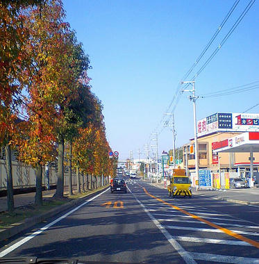 091123-131846.jpg