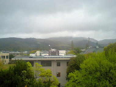 CA380509_2.jpg