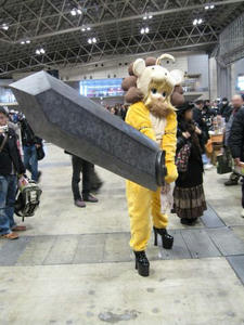 wf2010-9.jpg