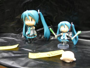 wf2010-10.jpg