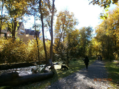 PA060088.JPG