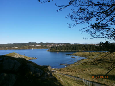 PA110225.JPG