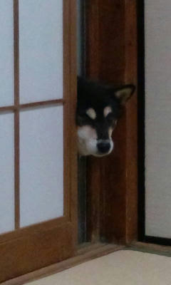 20121031172157.jpg