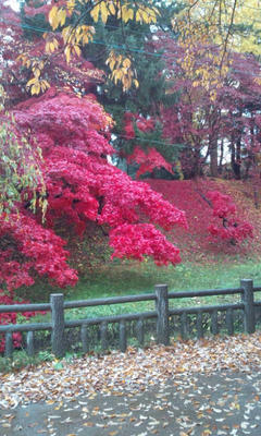 20121113110551.jpg