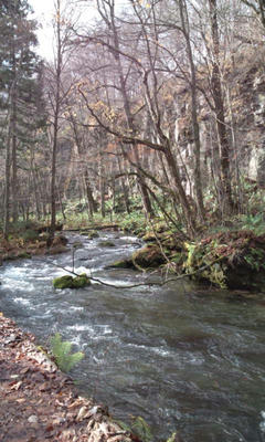 20121114103238.jpg