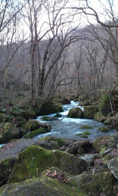 20121114105348.jpg