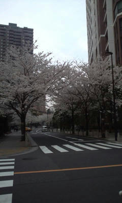 20130324162235.jpg