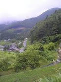 bc431eb1.jpeg
