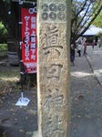 SN390019.jpg