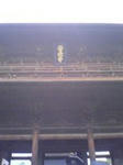 SN390034.jpg