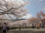 DSC00263.JPG