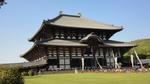 DSC00542.JPG