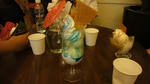 DSC00979.JPG