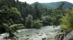 DSC01391.JPG