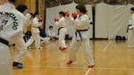 DSC02229.JPG