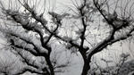DSC02314.JPG