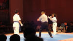 DSC02568.JPG
