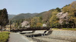DSC02614.JPG