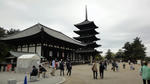DSC02877.JPG