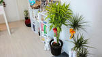 DSC02939.JPG