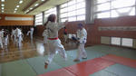 DSC06257.JPG