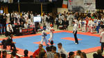 DSC06745.JPG