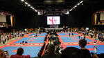 DSC06784.JPG